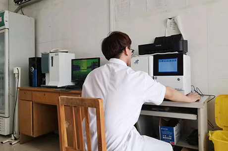 钙铁锌哂检测仪器好色视频APP生物之缺铜的影响