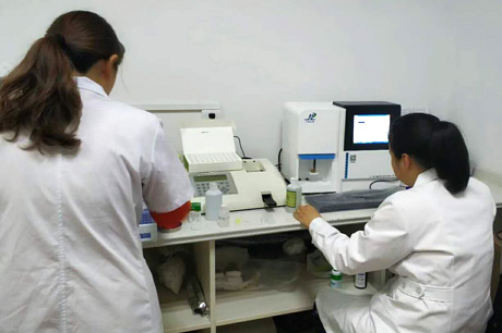 北京新好色视频APP生物介绍哪些食物能清热祛湿？